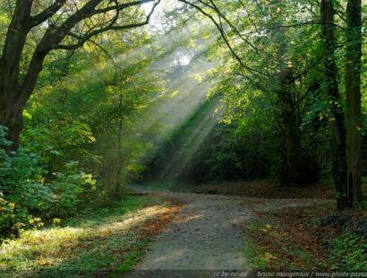 groene gordel